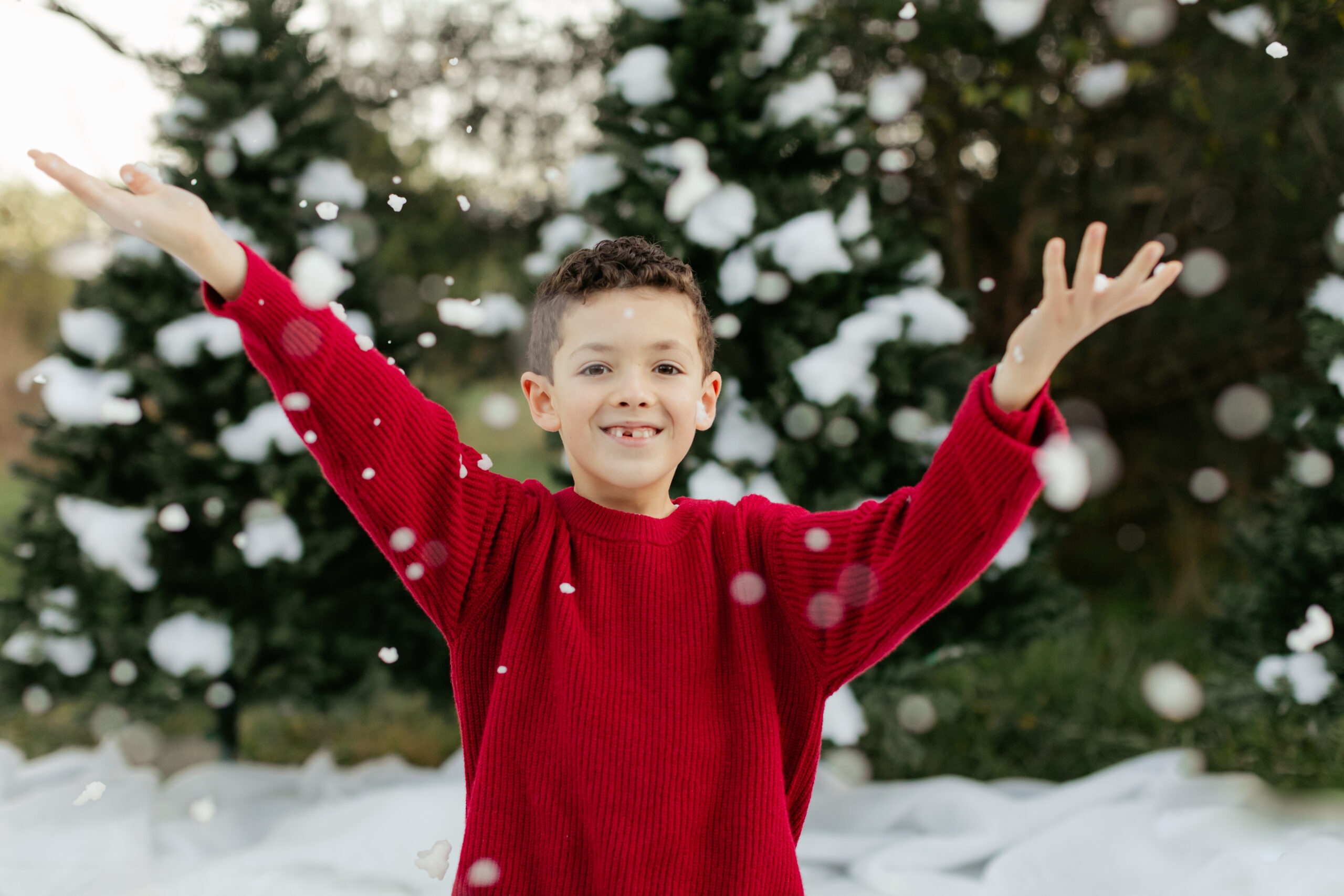 little boy in red sweater. snowy christmas family photos