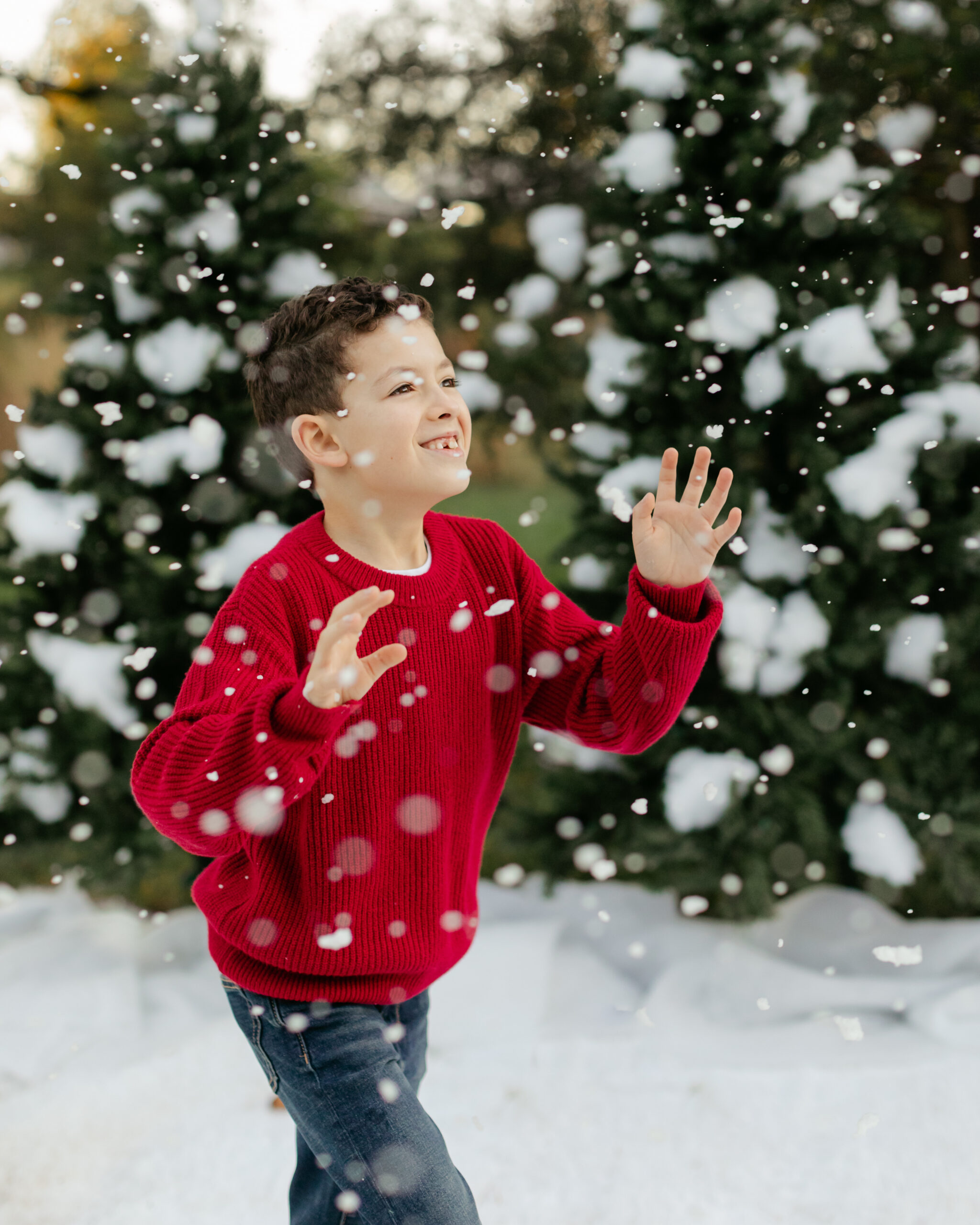 little boy. snowy christmas family photos