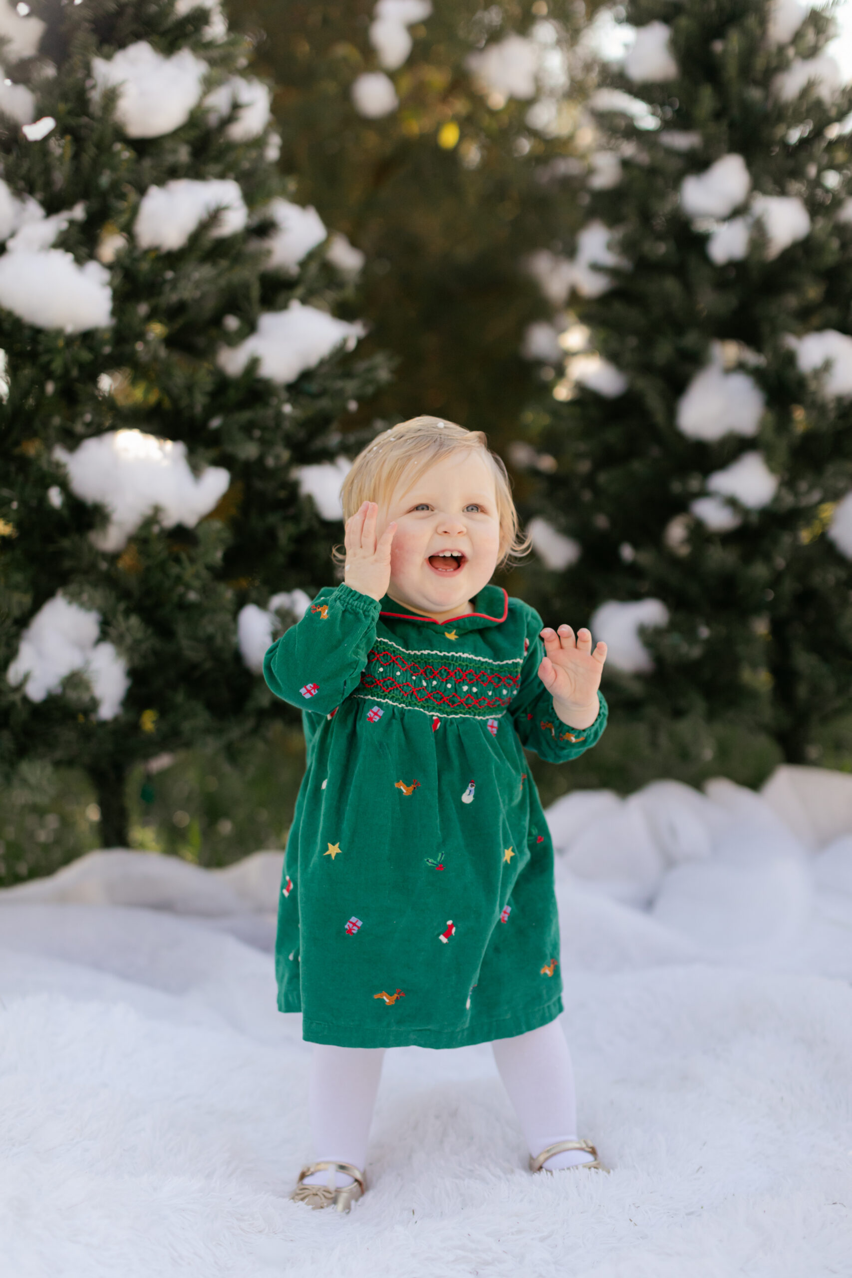 little girl in green dress. snowy christmas family photos