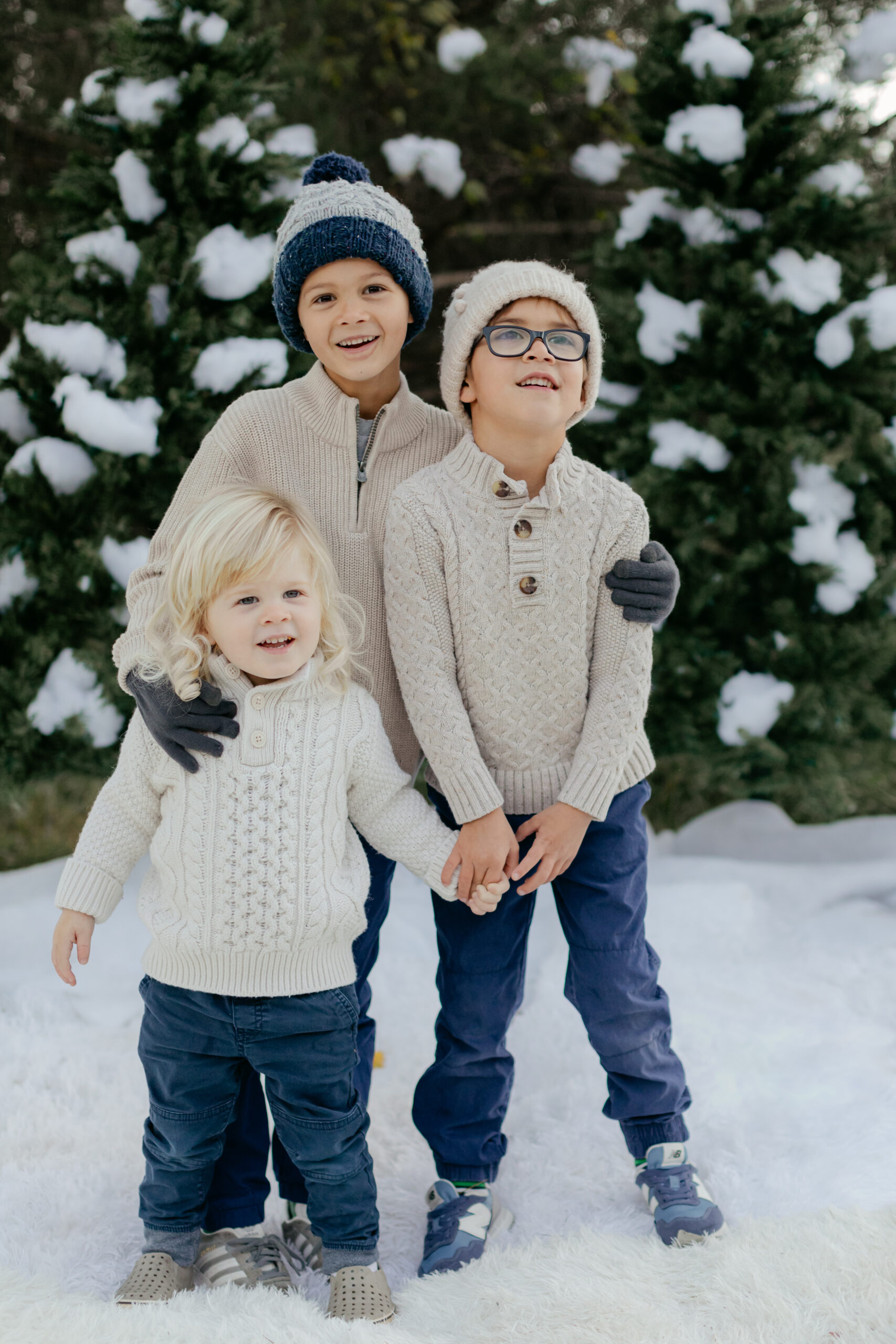 three boy siblings. snowy christmas family photos