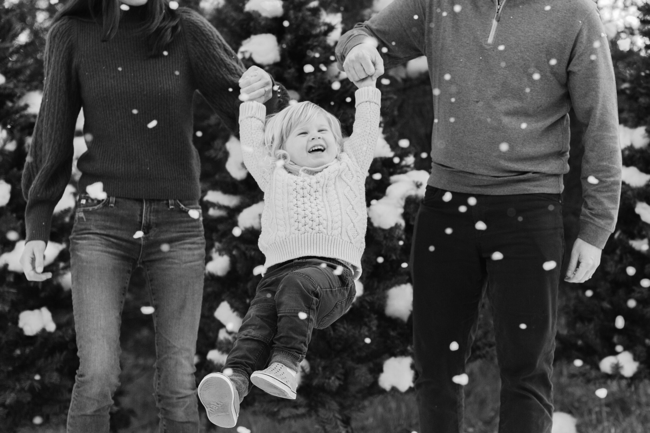 snowy christmas family photos