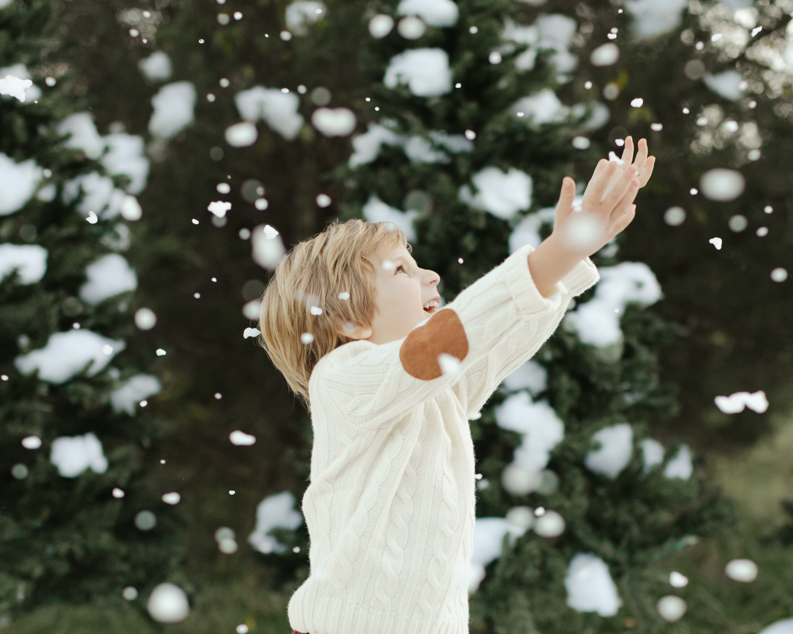 little boy. snowy christmas family photos