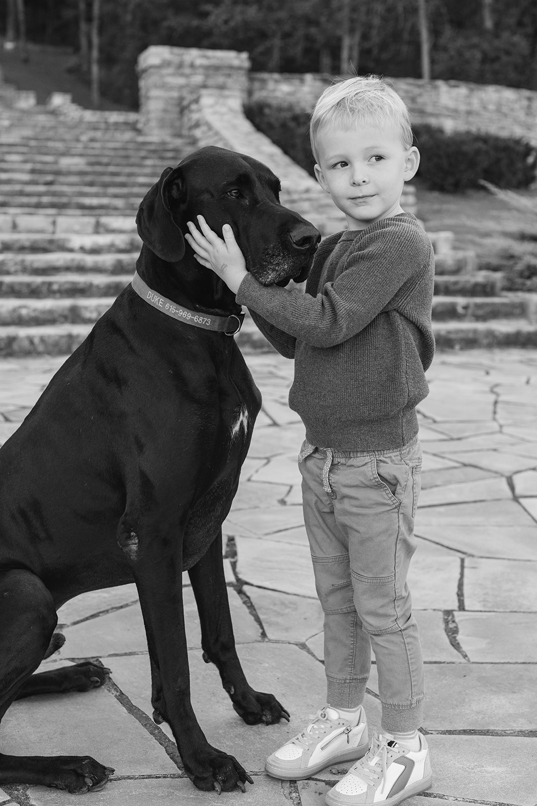 a young boy stands next to his great dane dog who is almost the same height as the boy. 