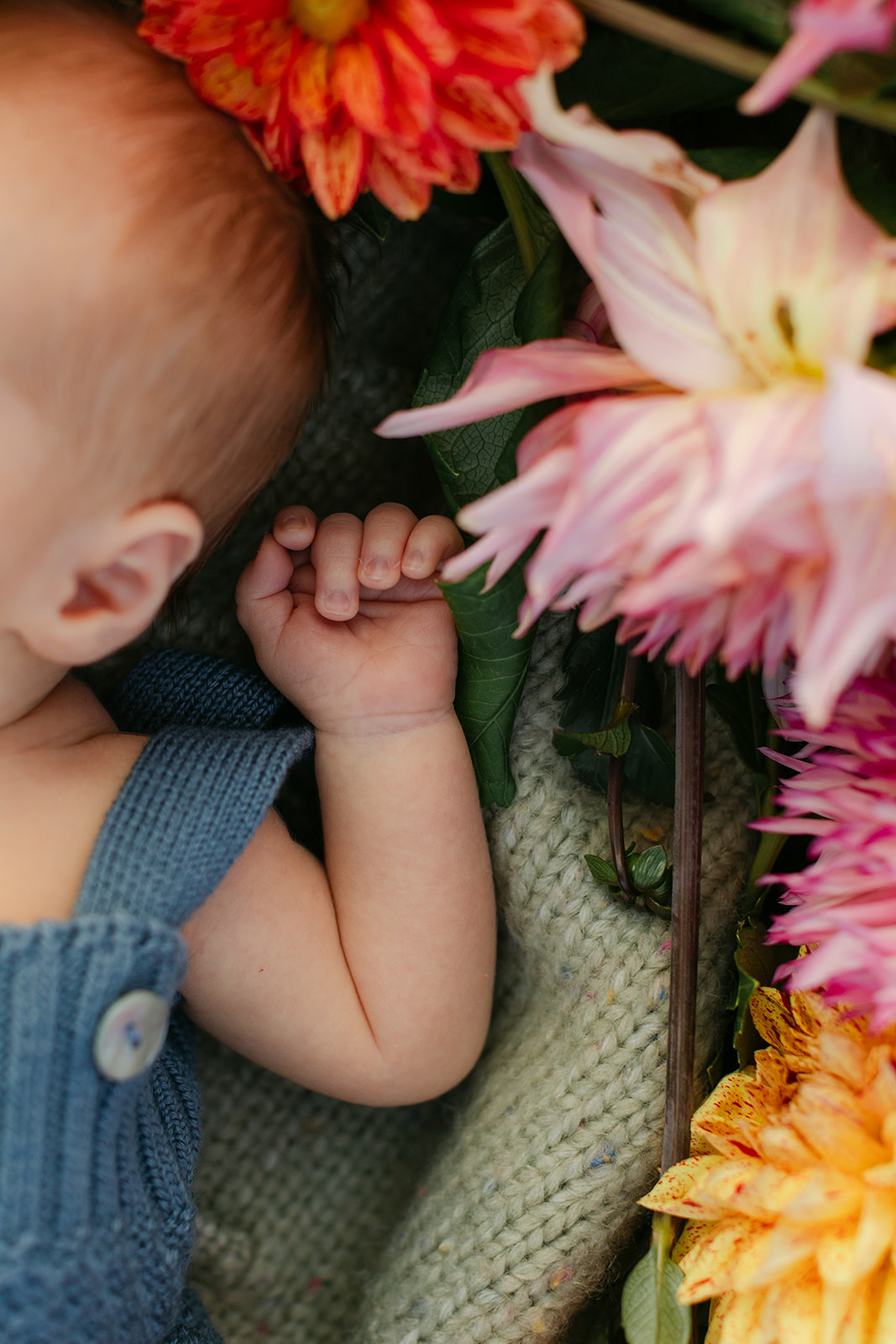 newborn baby boy