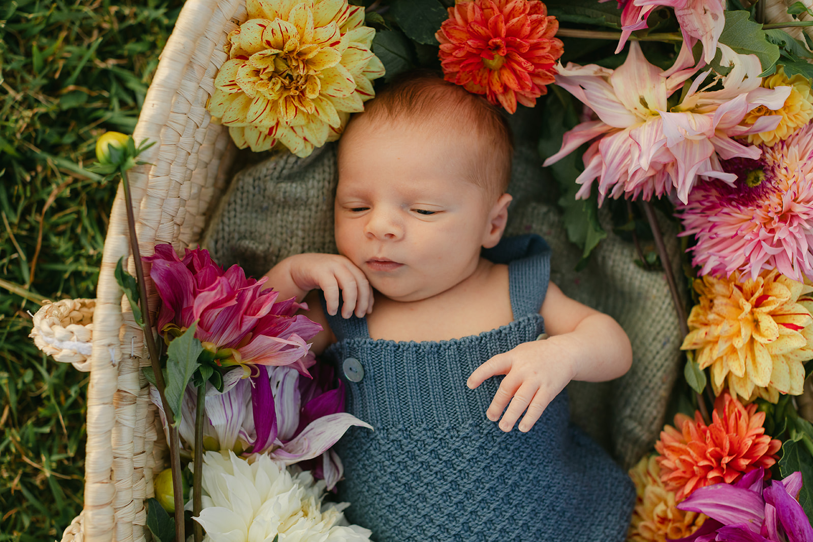 newborn baby boy in flower basket