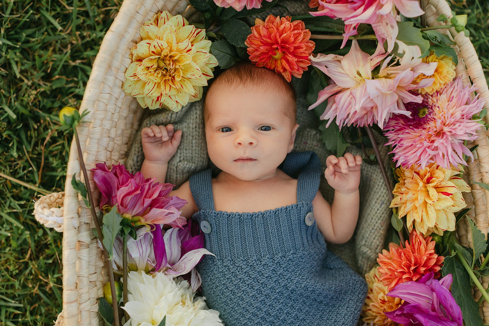 newborn baby boy in flower basket