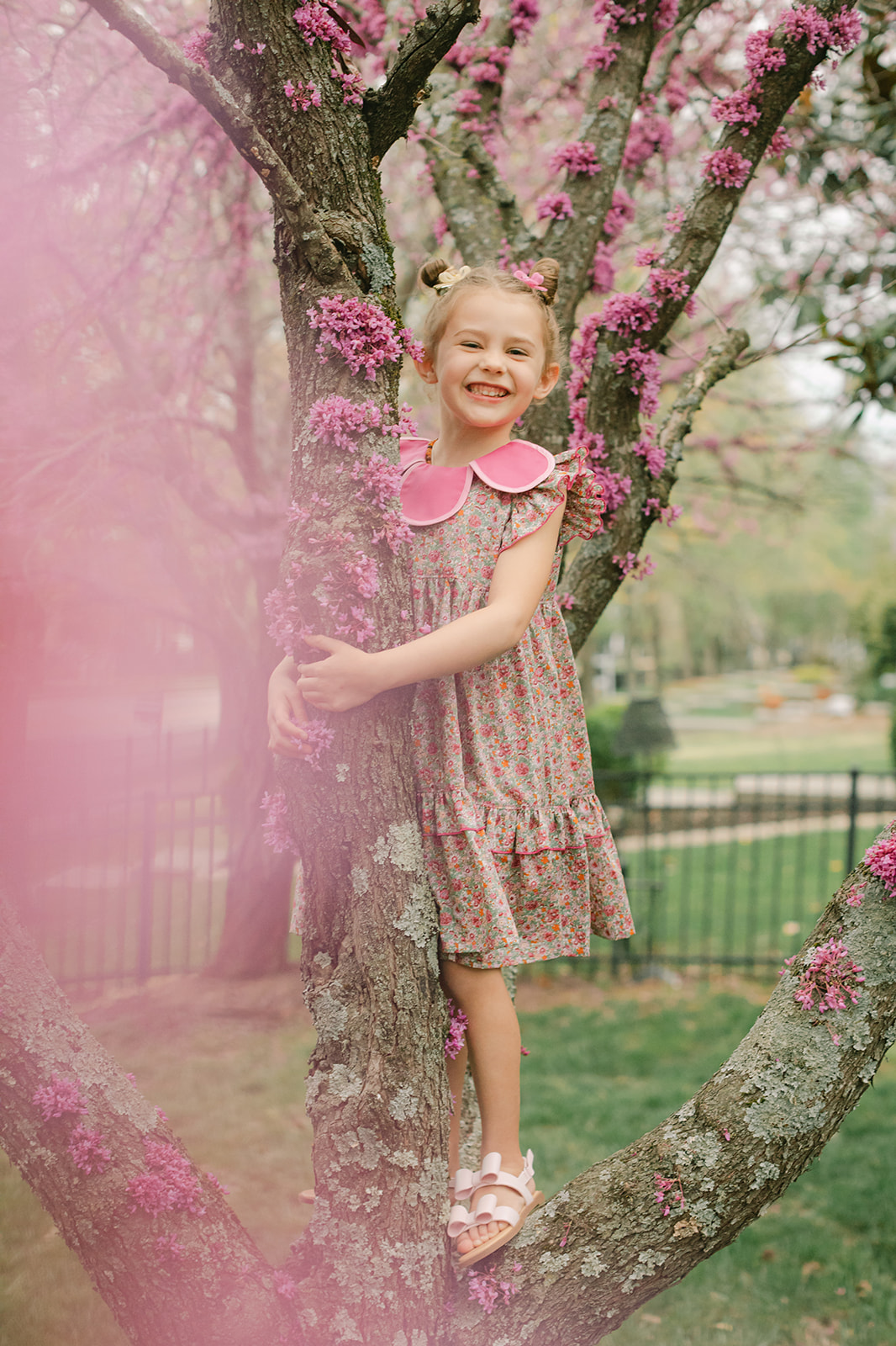 little girl surrounded by cherry blossoms