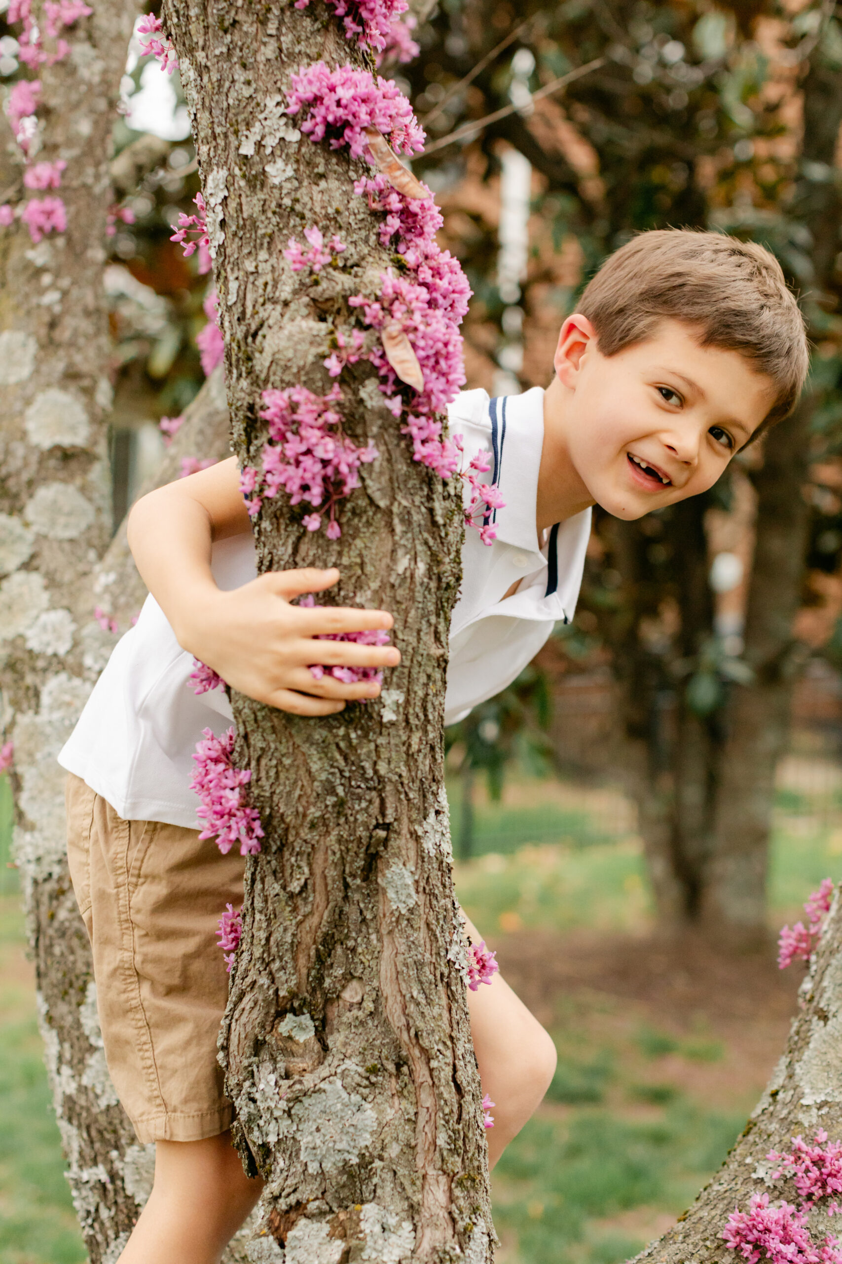 little boy climbing tree
