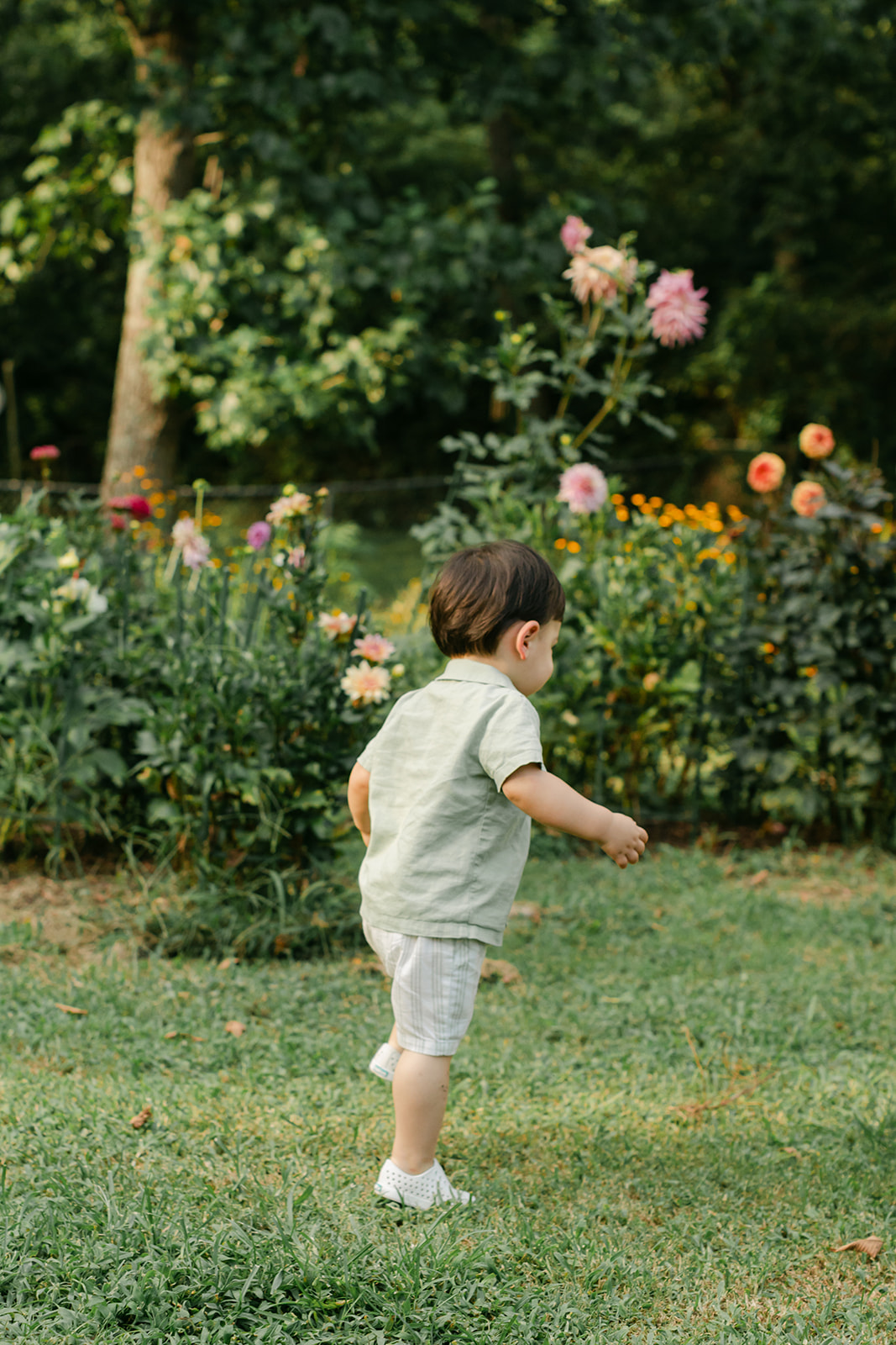 little boy in garden