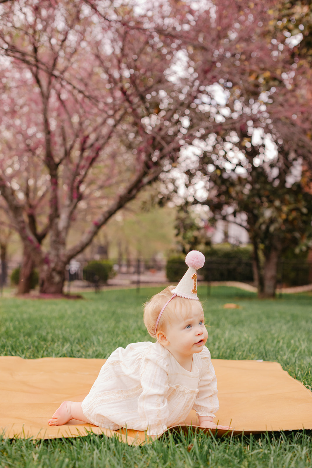 baby girl with birthday hat. 1 year old milestone session