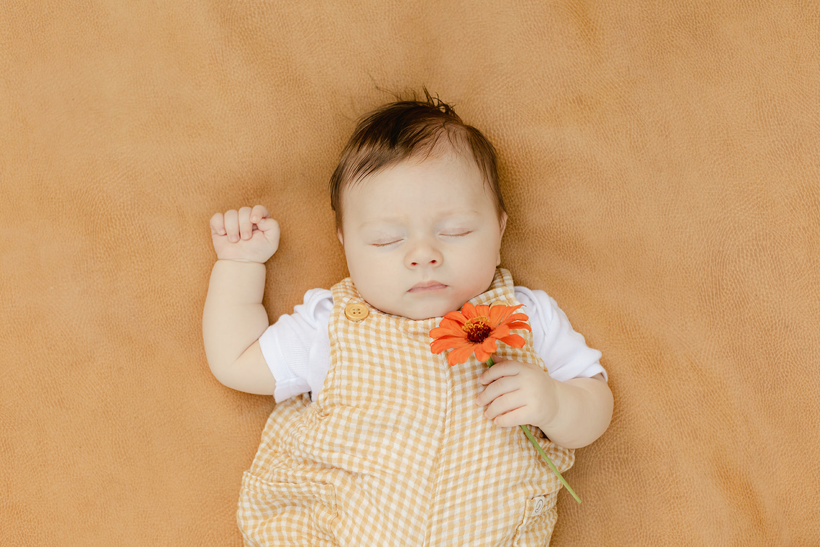 sleepy baby boy. garden photo sessions franklin tn