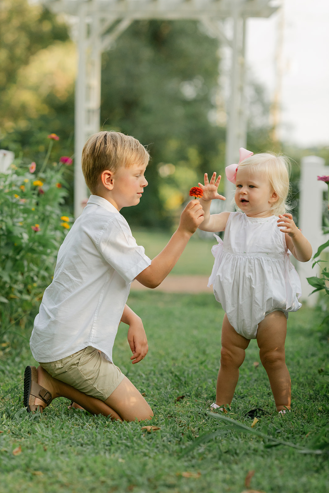 siblings (little boy and little girl)