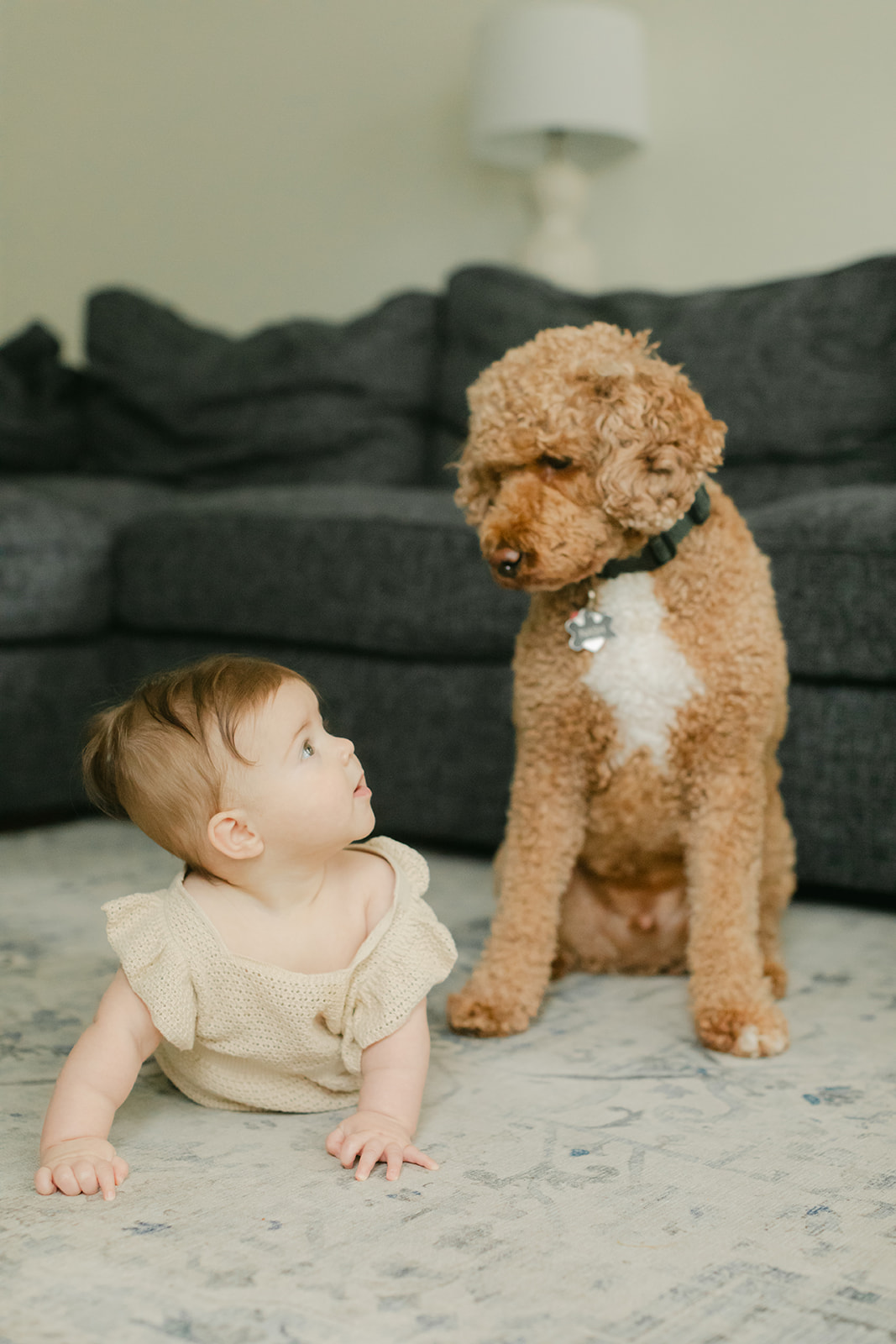 family dog and 6 month old girl 