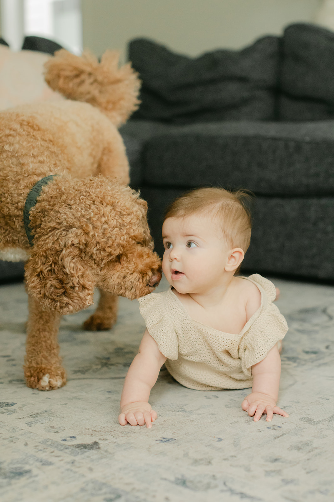 family dog and 6 month old girl 