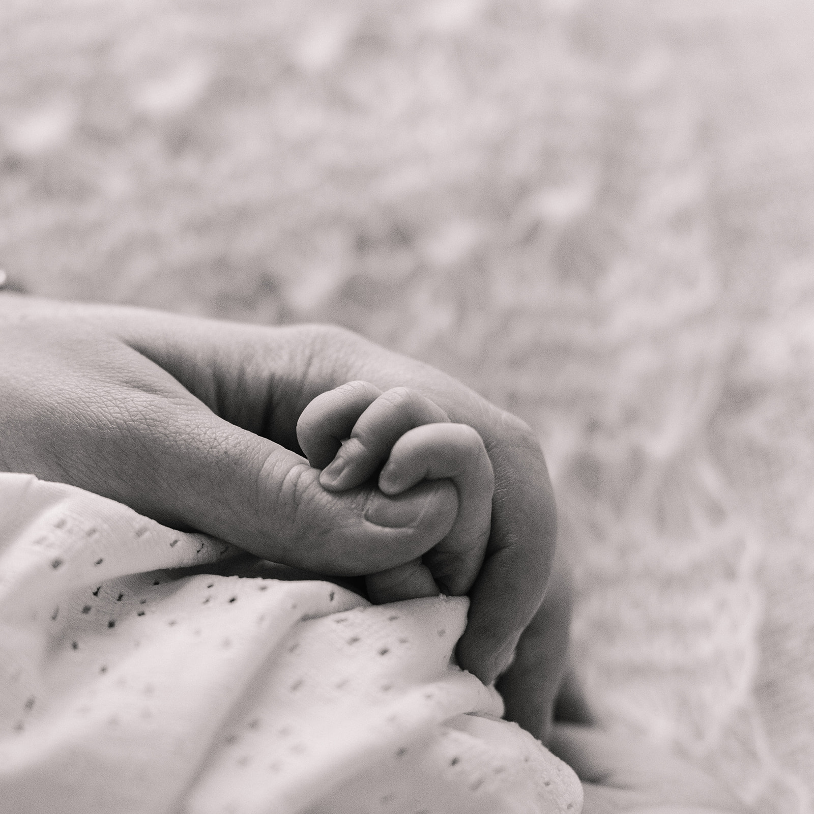 newborn baby girl