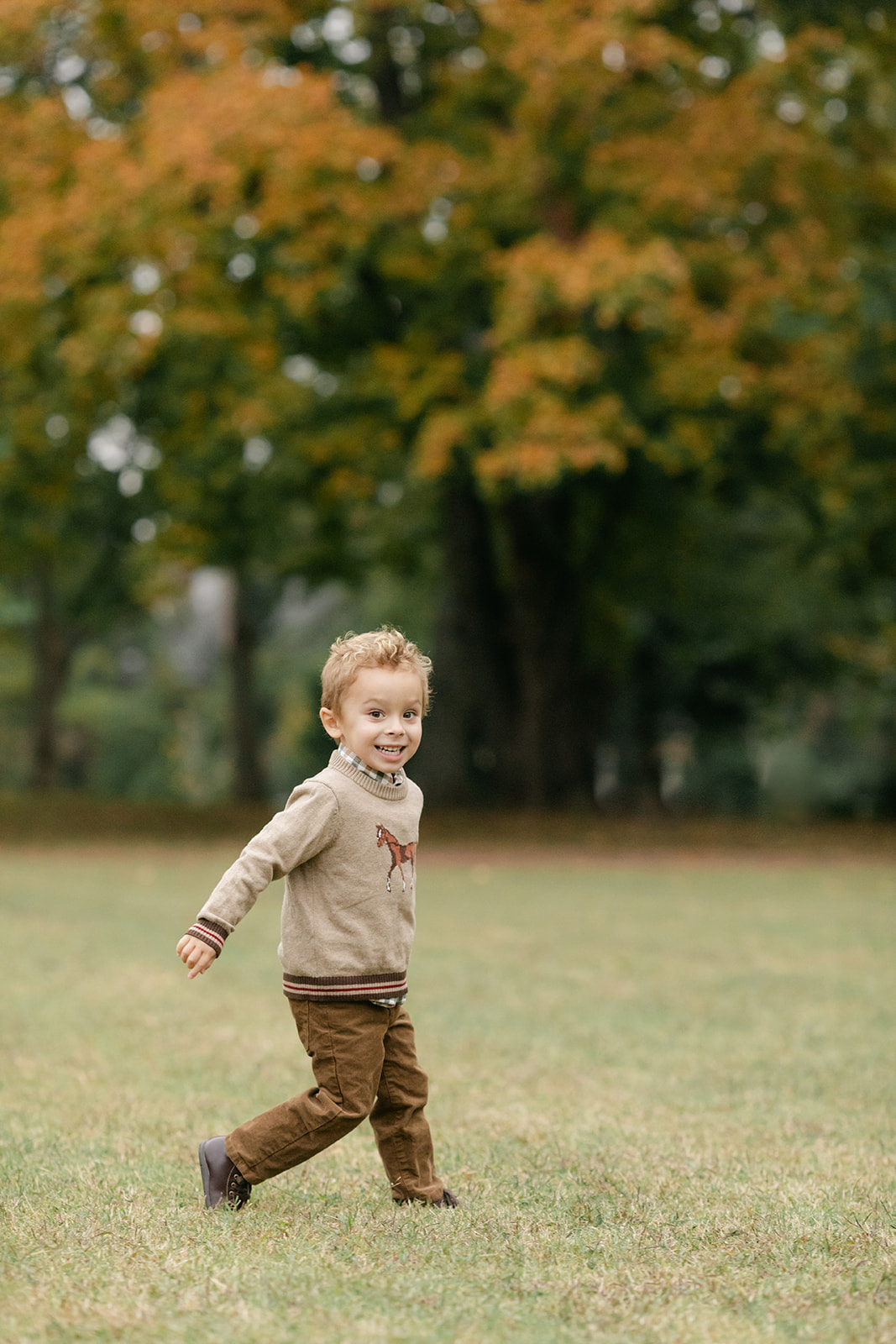 little boy during outdoor fall family photos