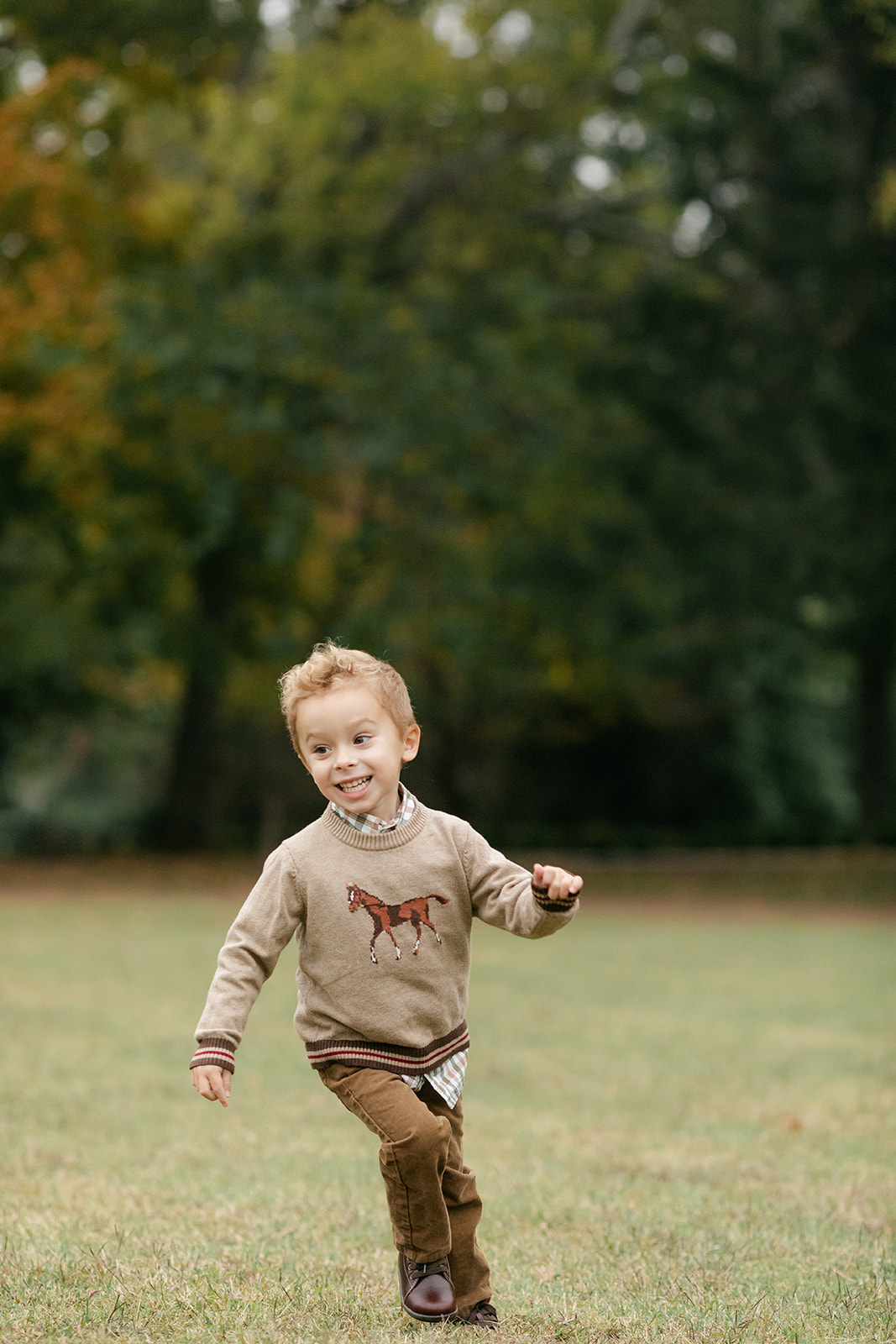 little boy during outdoor fall family photos