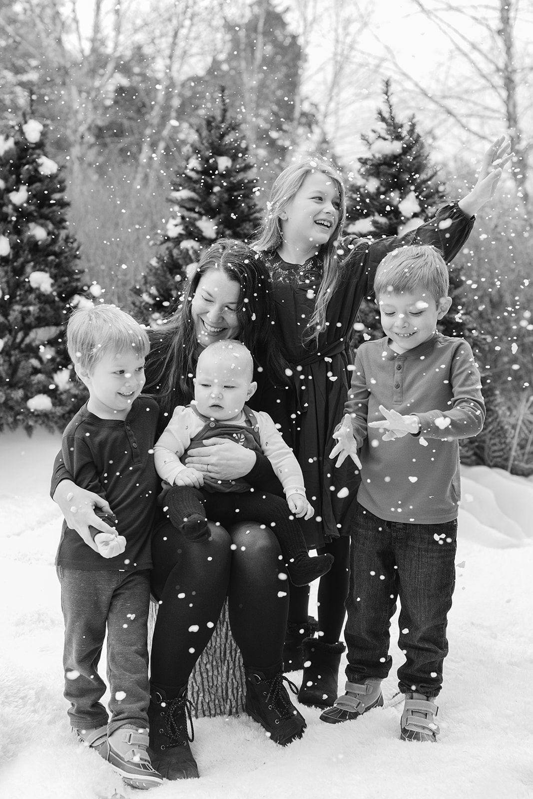 snowy christmas family photos