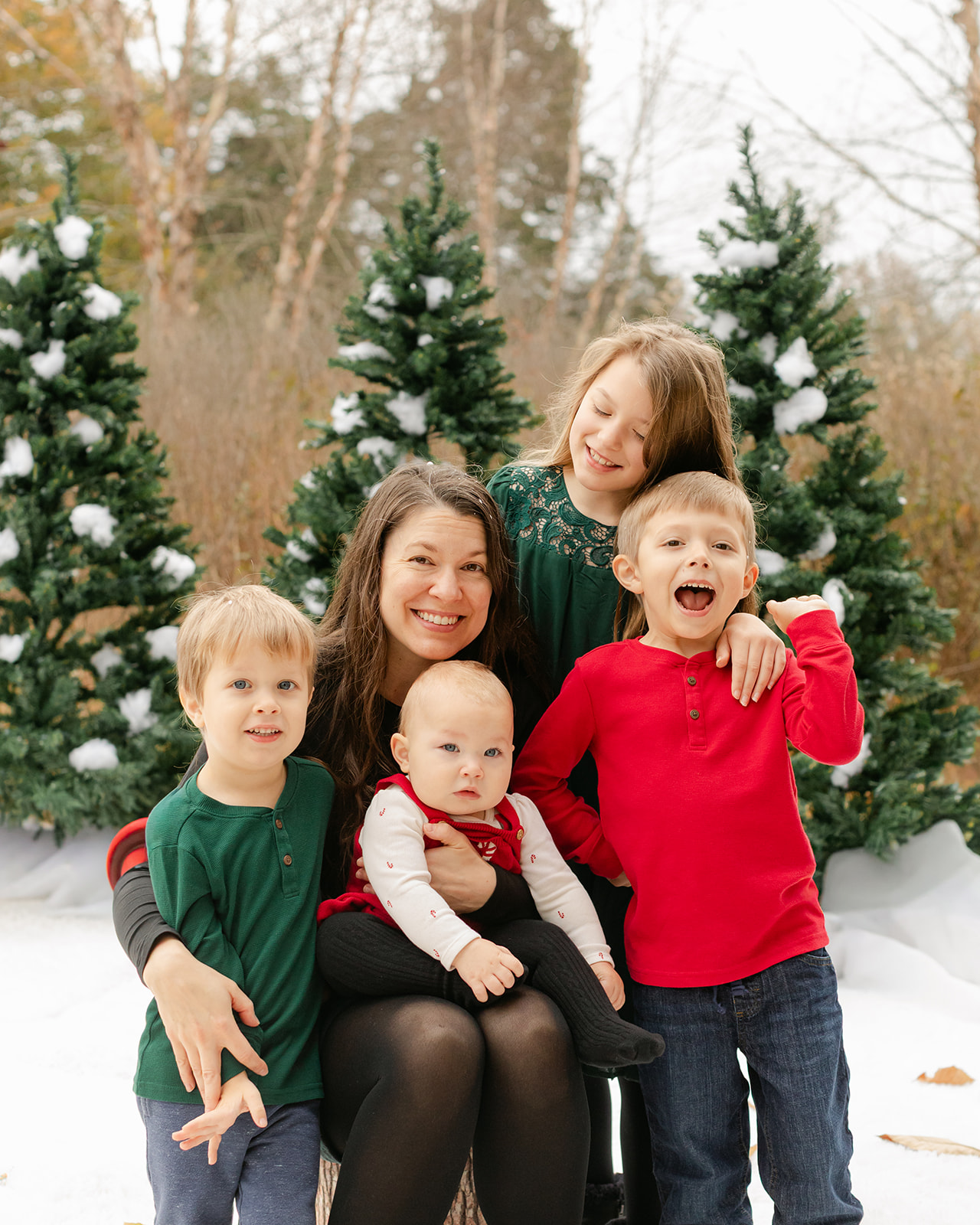 snowy christmas family photos