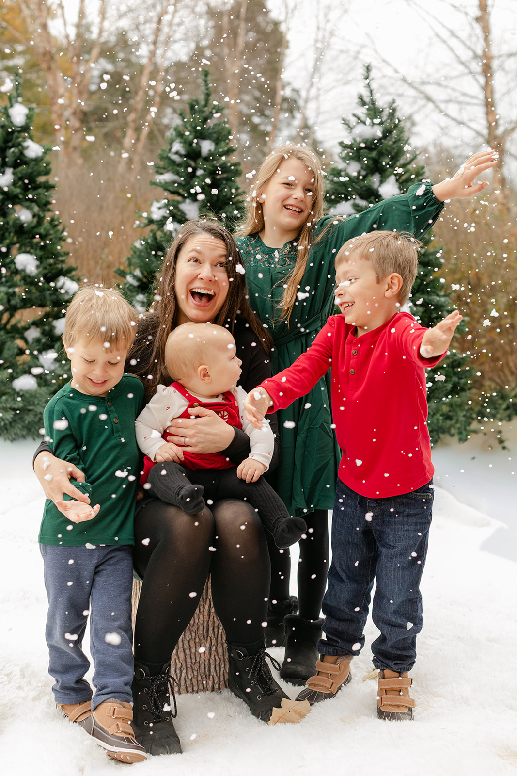 snowy christmas family photos