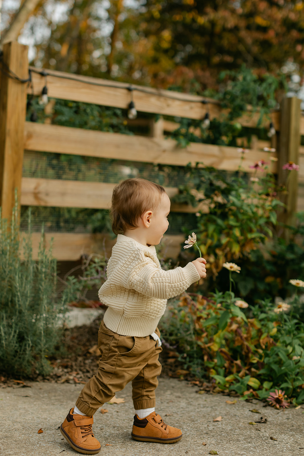 outdoor fall family session. little boy walking with flowers