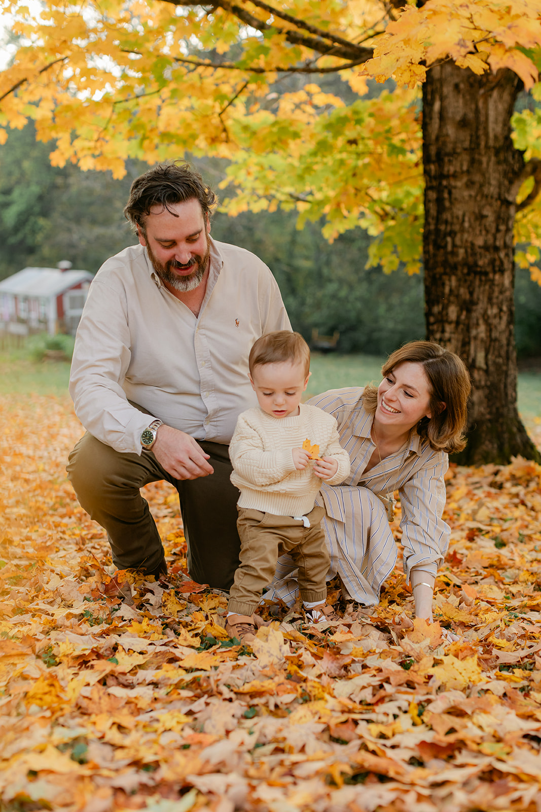 outdoor fall family session. parents playing with leaves