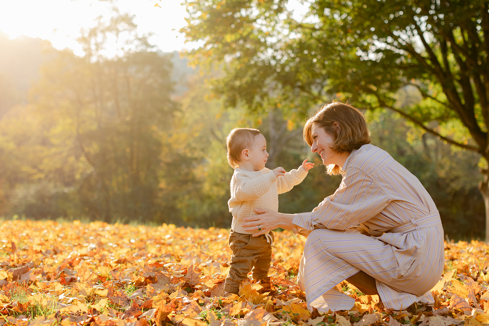 outdoor fall family session. mom and son