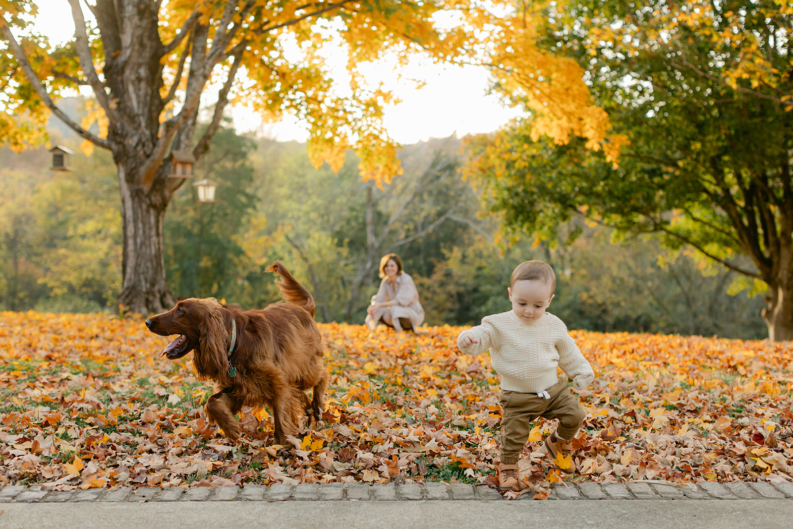 outdoor fall family session with family dog