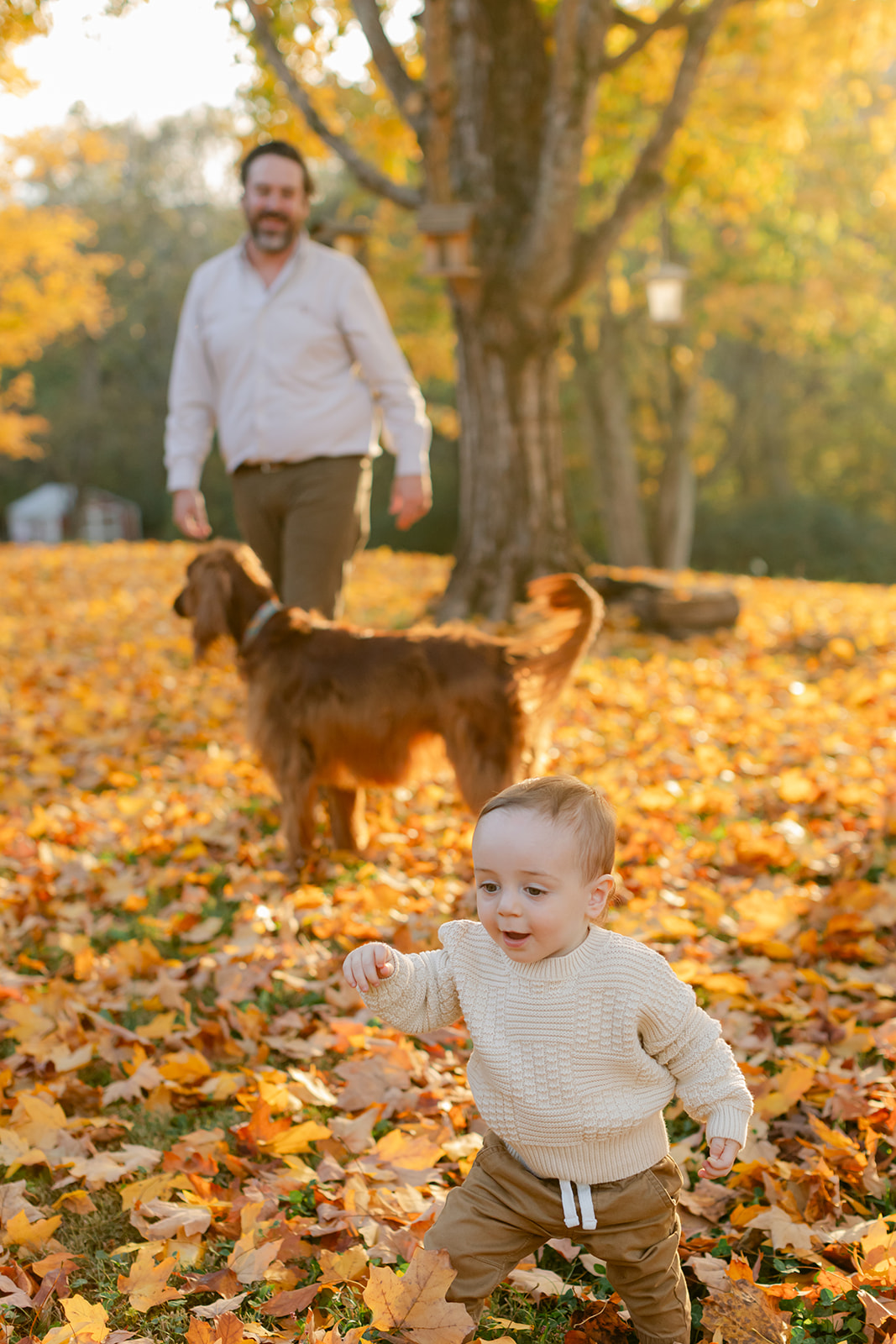outdoor fall family session with family dog