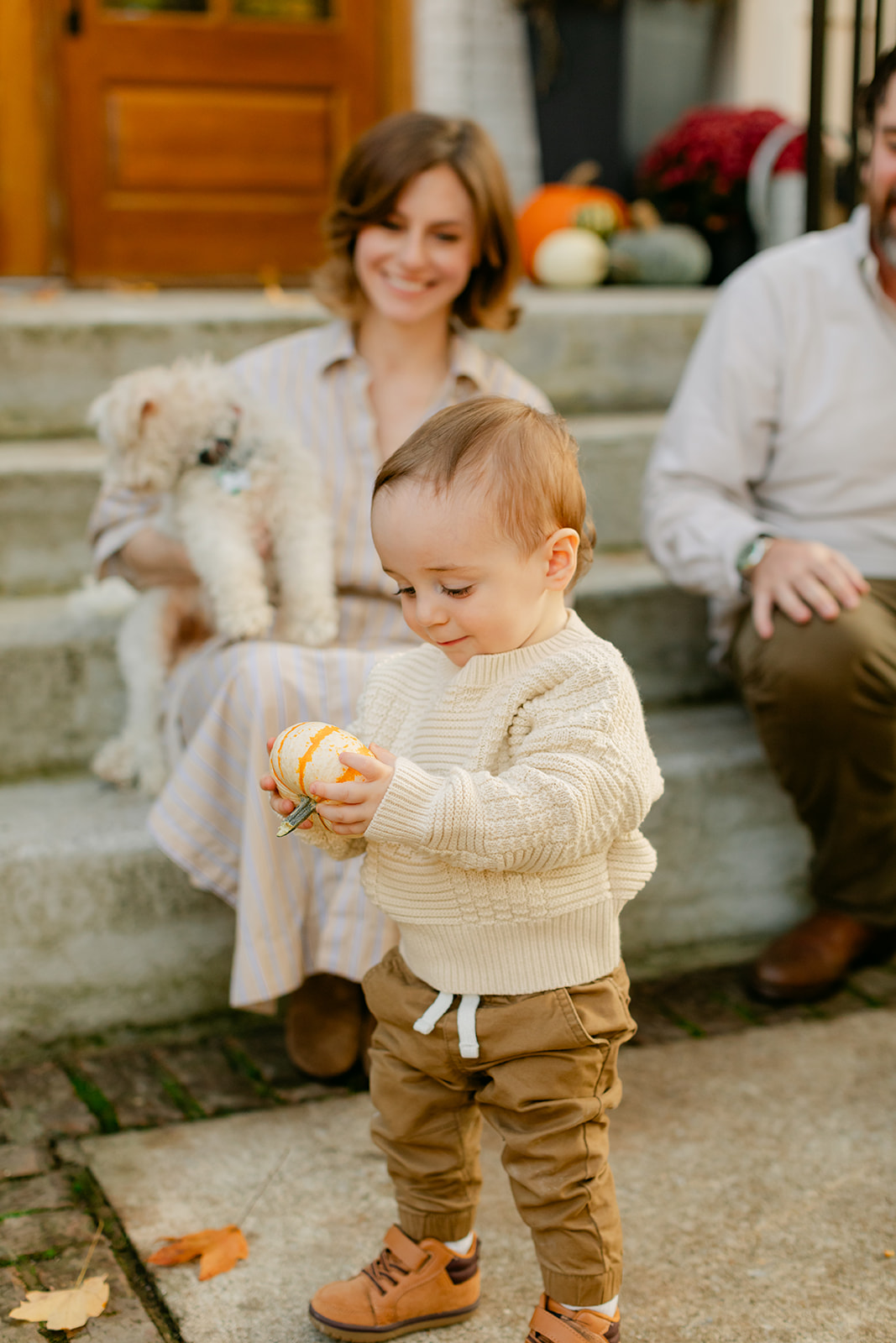 outdoor fall family session with family dogs