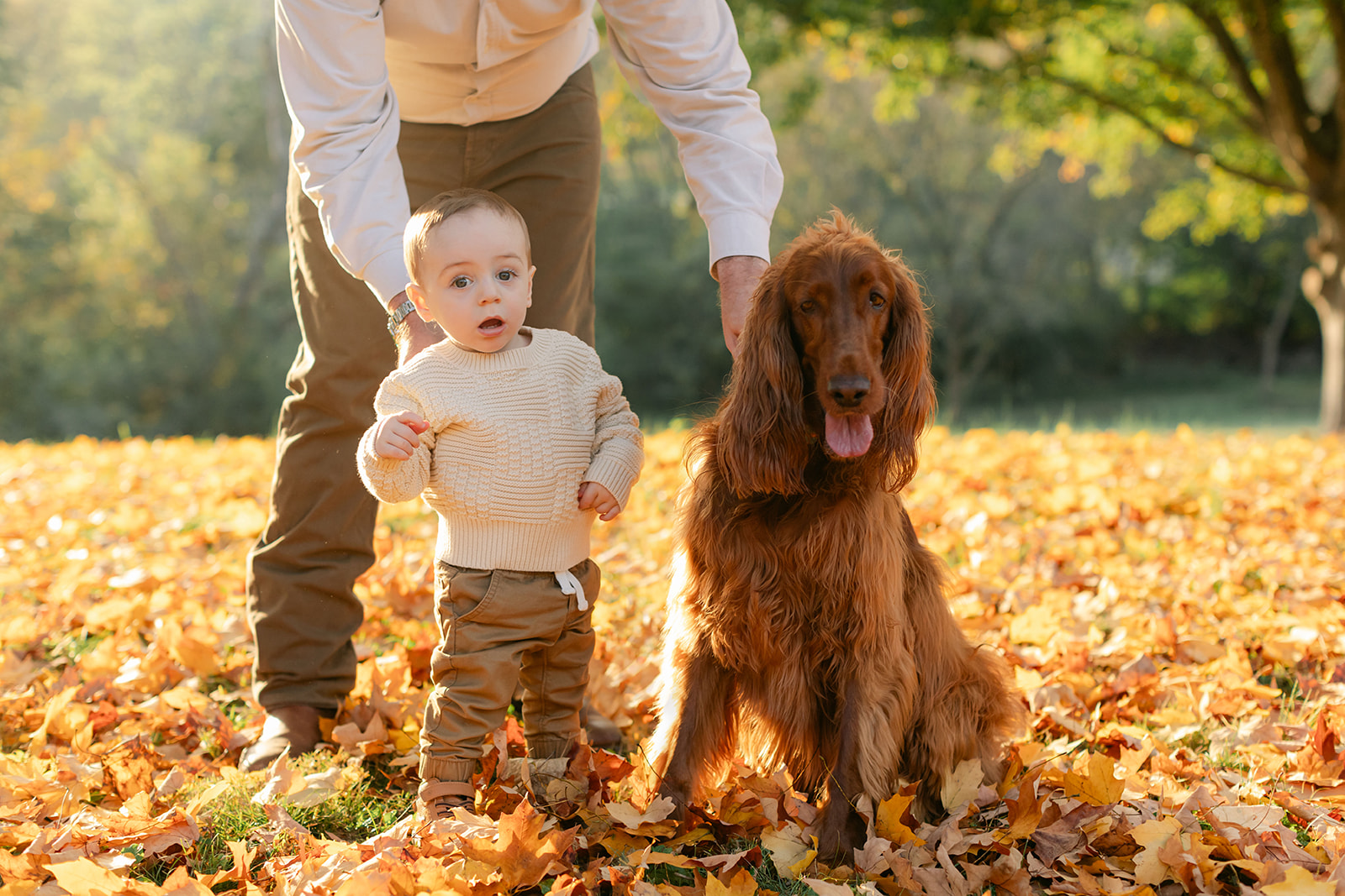 outdoor fall family session. little boy and family dog