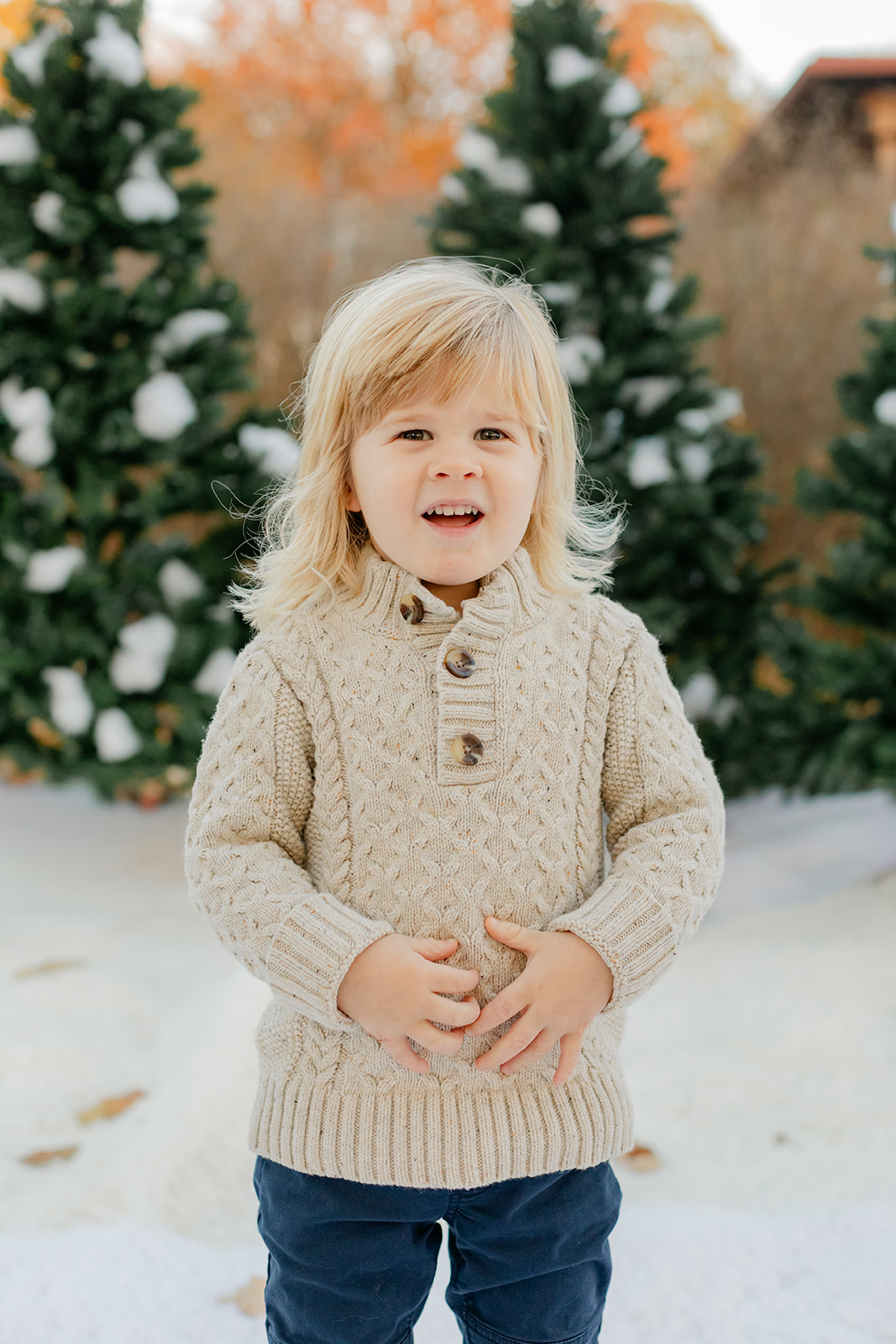 little boy christmas photo