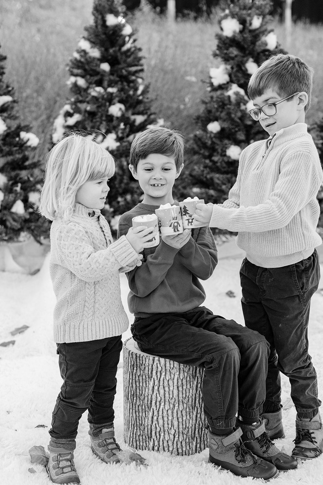 three siblings (boys. christmas photo