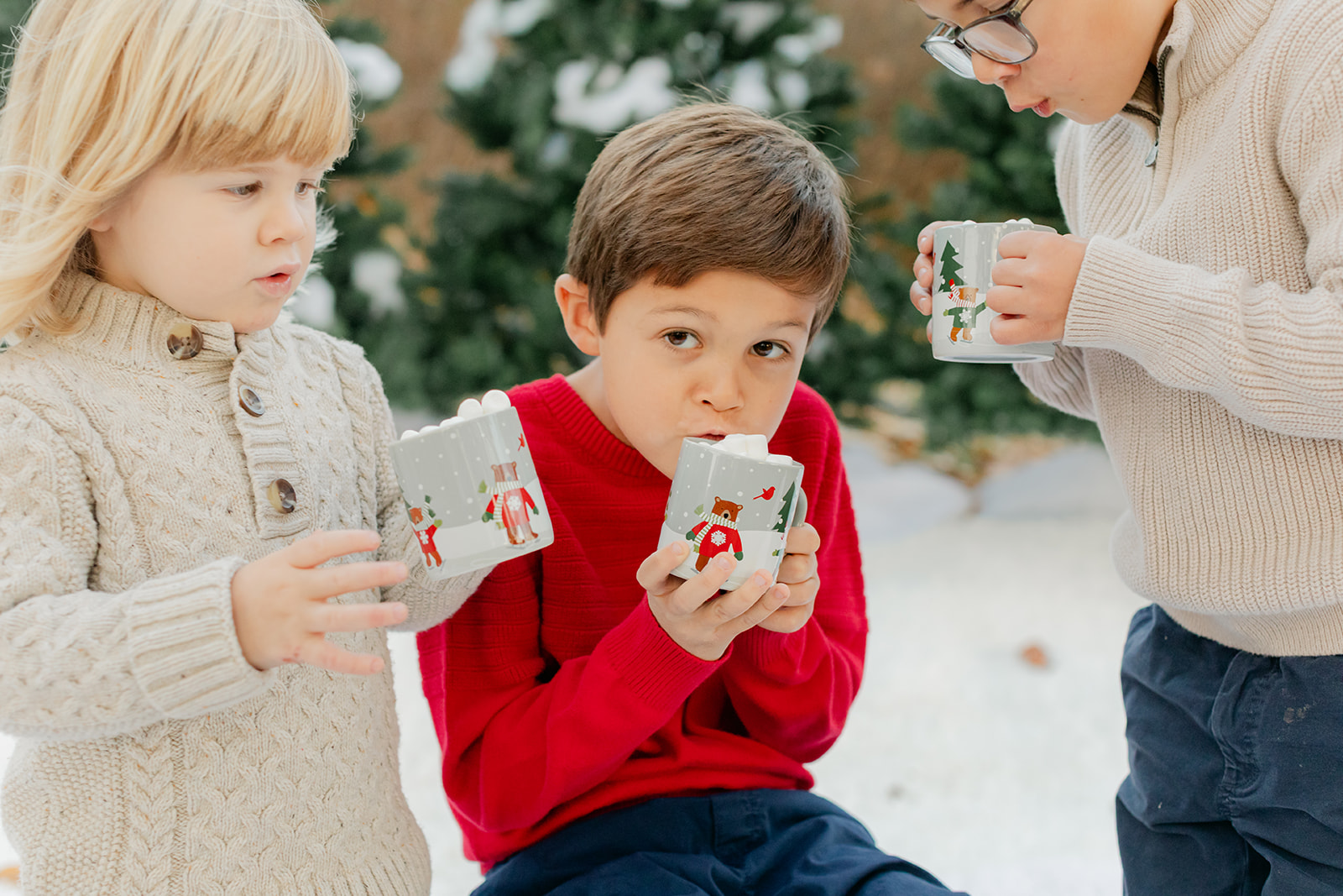 three siblings (boys. christmas photo