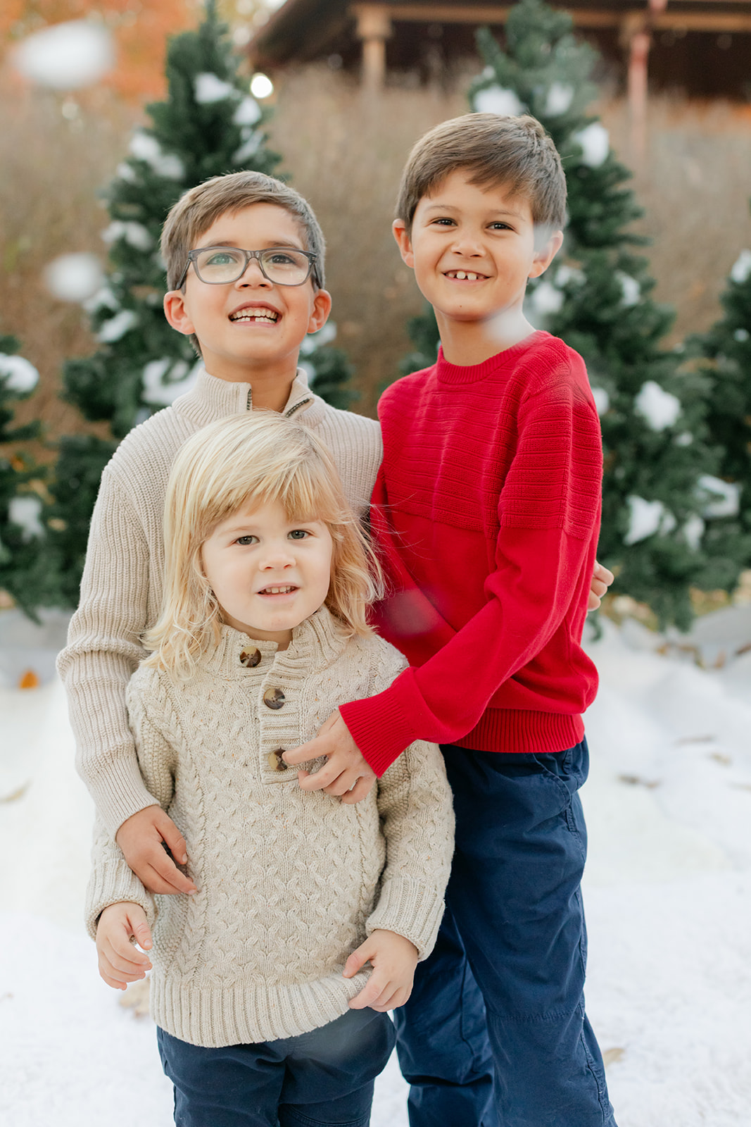 three siblings (boys. christmas photo