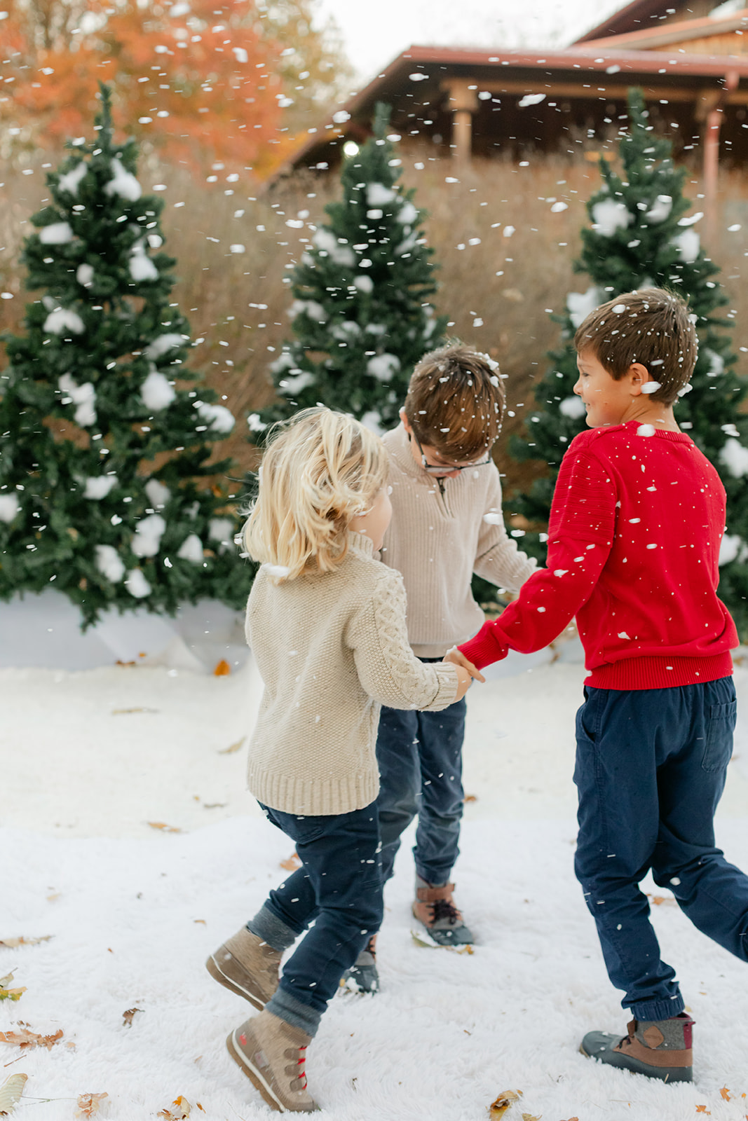 three siblings (boys. christmas photo