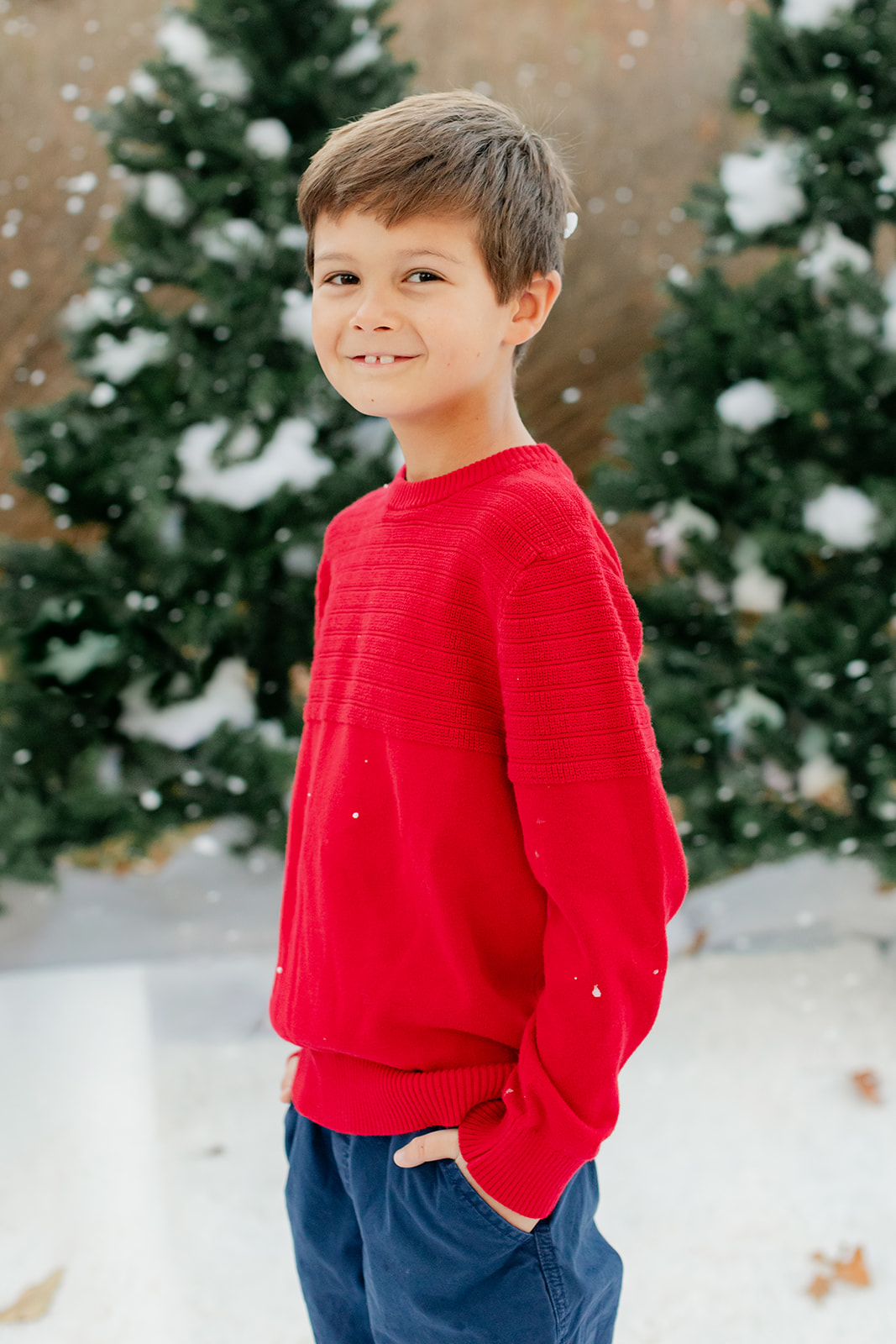 little boy christmas photo
