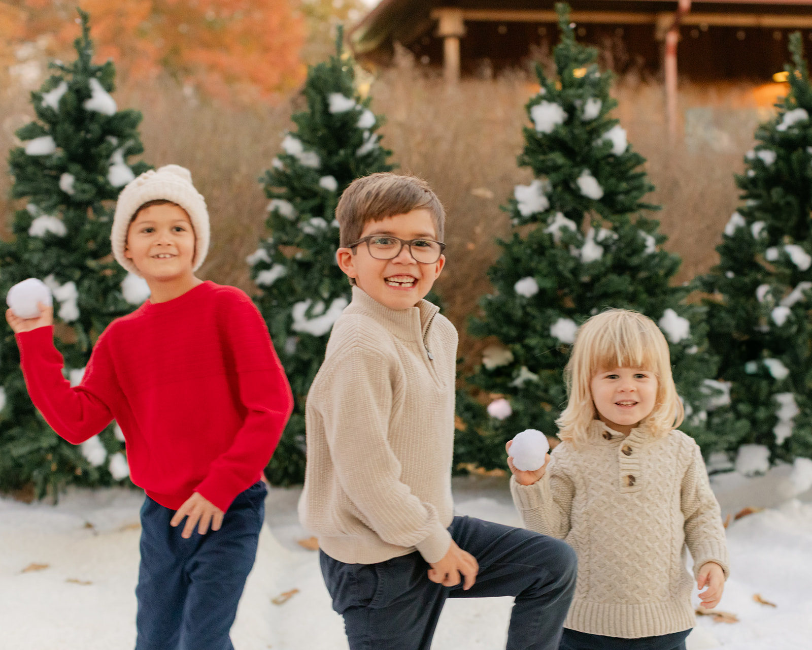 three siblings (boys. christmas photo