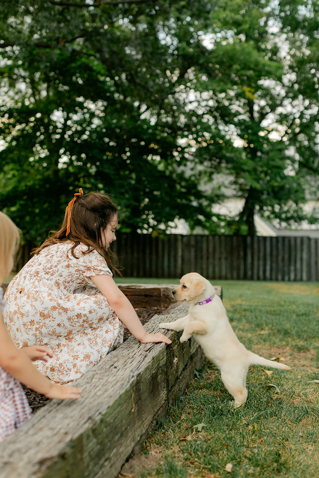little girl and new puppy
