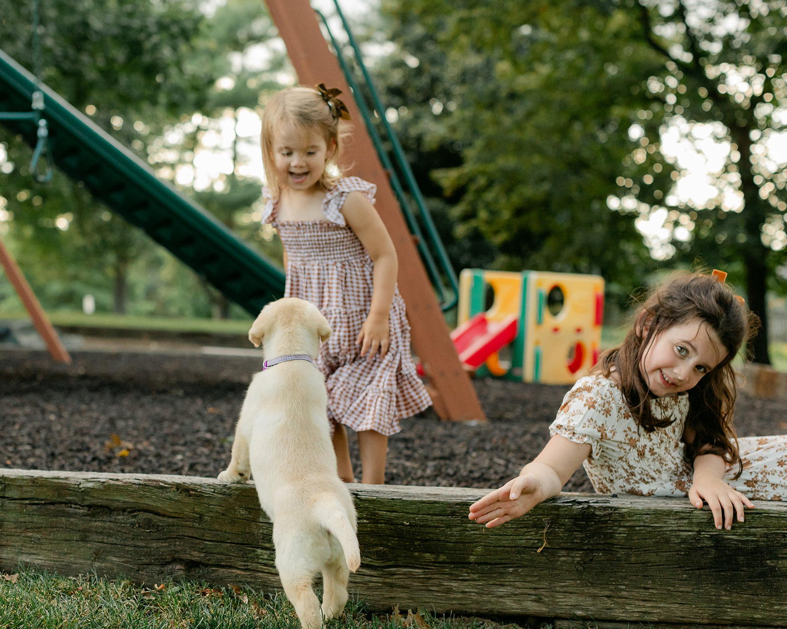 two sisters and new puppy on playground