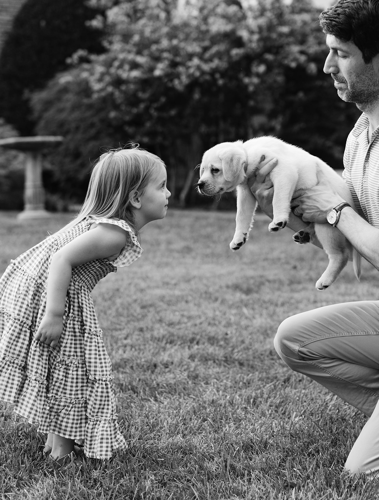 dad daughter and puppy