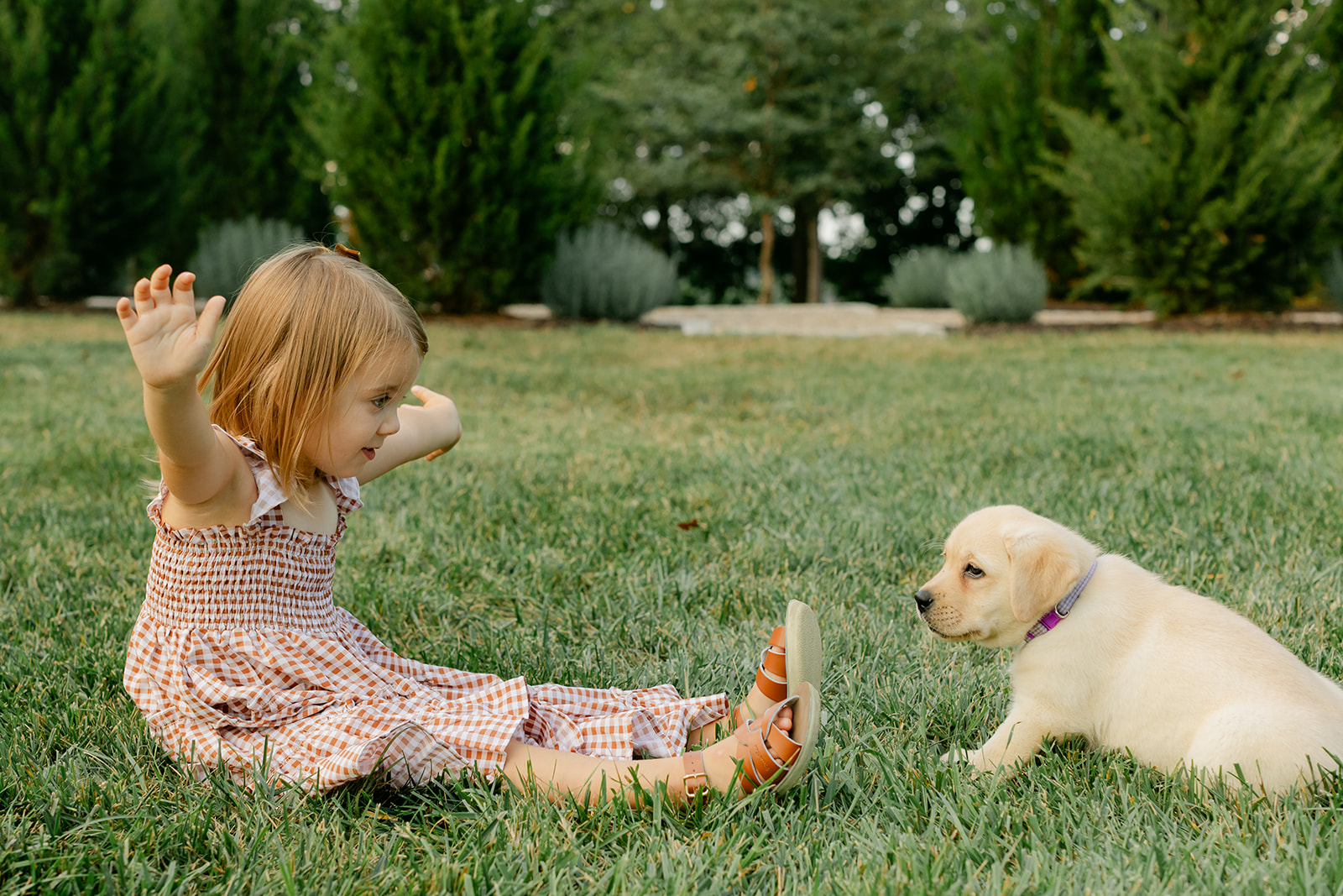 little girl and puppy