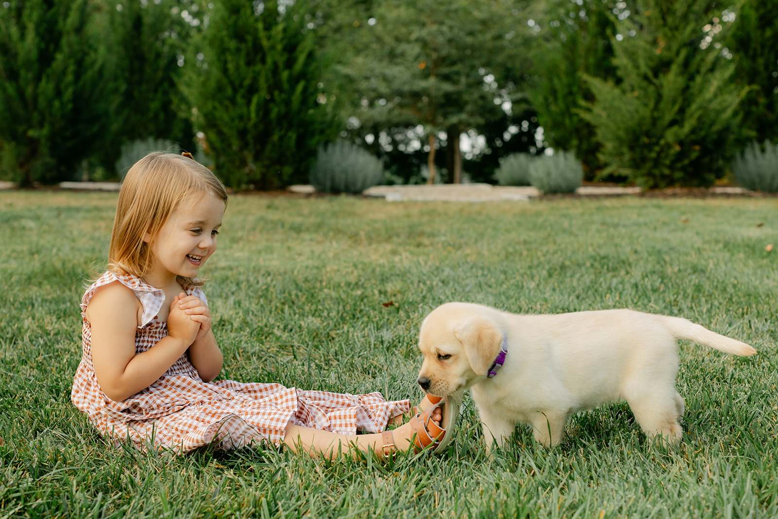 little girl and puppy