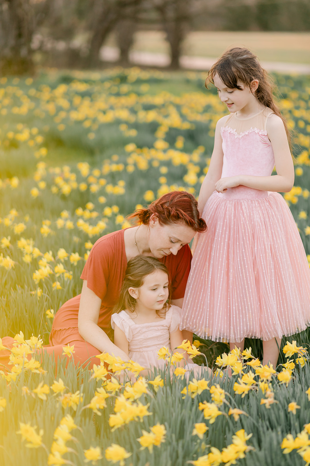 mama and daughters in daffodil field