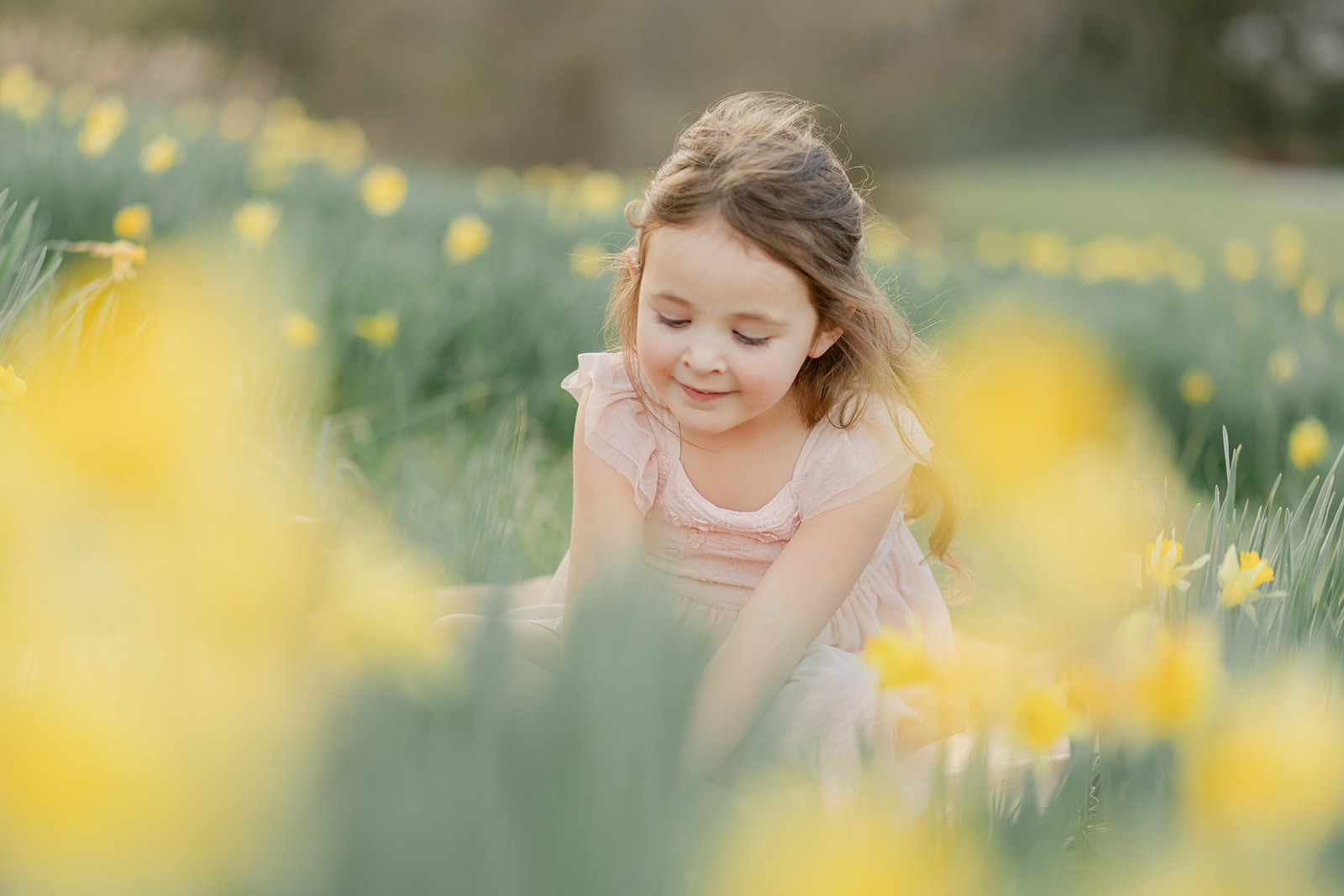 little girl in daffodil field