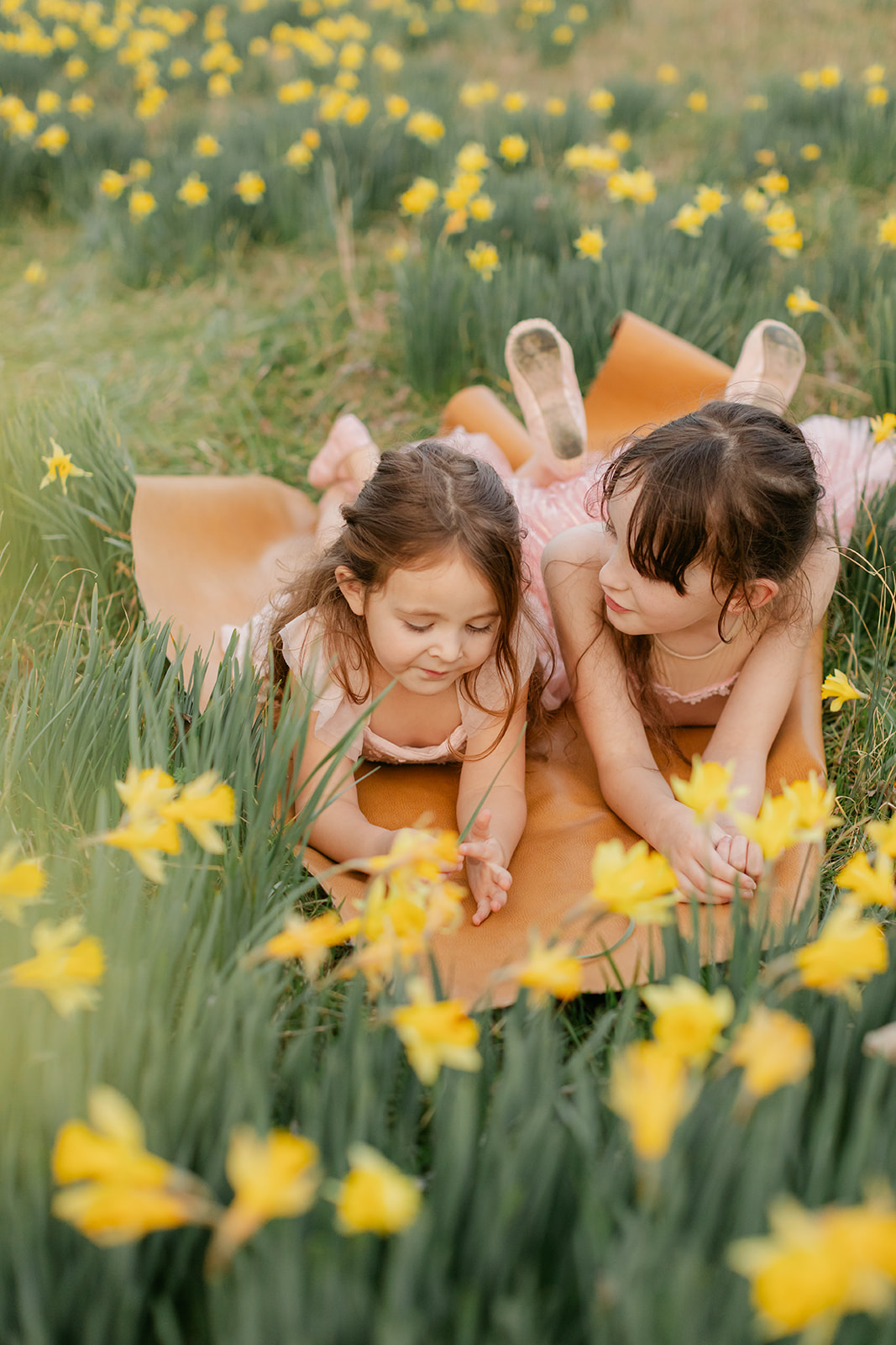 two sisters in matching pink outfits in daffodil field